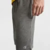 10" feuchtigkeitsableitende Sportshorts