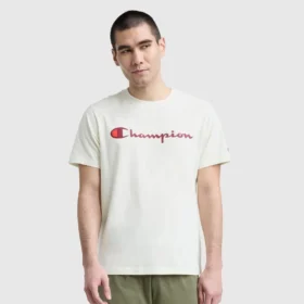 Klassisches T-Shirt mit Grafik, Script Logo