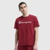 Klassisches T-Shirt mit Grafik, Script Logo