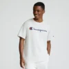 Klassisches T-Shirt mit Grafik, Script Logo