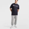 Klassisches T-Shirt mit Grafik, Script Logo – Big & Tall